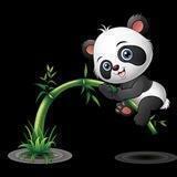 🐼🐼🐼🐼国宝繁殖地