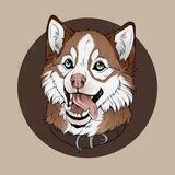 Kaiken Inu Portal