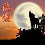 天狼社区