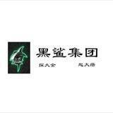 钉钉项目