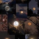 لـ๋͜‏ــــ7𓆪_فـ,ـبـ,ـرآيـ,ـرᯓ𓆩.