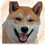 Foxy Shiba Portal