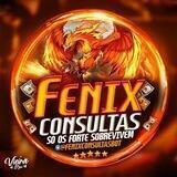 🔎 CONSULTAS - BR 🔍