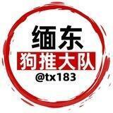 缅东狗推大队