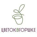 cvetok_v_gorshke_shop