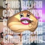 СЛИВ ВДУНЯ