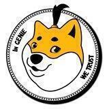 Genie Doge