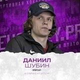 Хоккей под Шубой