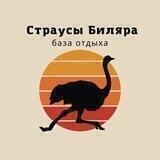 База отдыха «СТРАУСЫ БИЛЯРА»