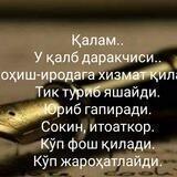Eng sara she'rlar 🥰
