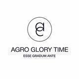 AgroGloryTime Chat (EN)