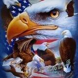 Patriot Calls