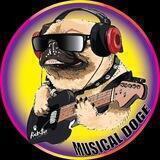 Musical doge