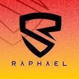 MIUISR | Raphael | Support
