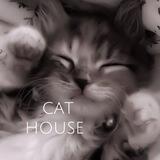 ᴄᴀᴛ hᴏusᴇ