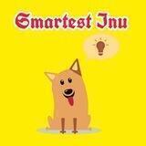 Smartest Inu Bsc
