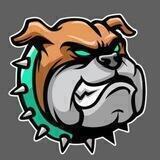BullDogeChain Group