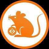 rats china 🇨🇳