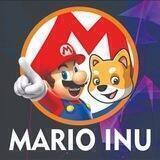 Mario Inu Portal