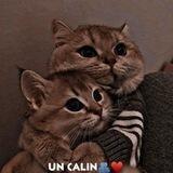 ﮼ آغـوش !