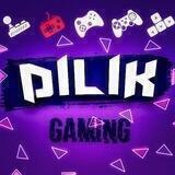 DILIK CUP REGLAMENT
