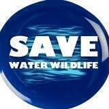 Save Water Wildlife Chat
