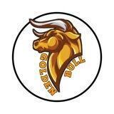 GOLDEN BULL PORTAL | BSC