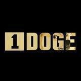 1DOGE PORTAL [Launch on DOGECHAIN]
