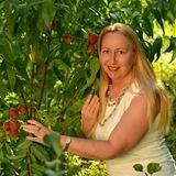 Apricot garden