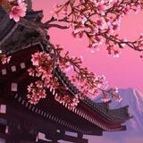 ســاكــورا...☁️🌸