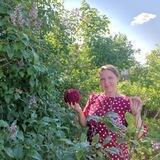Заметки о генеалогии