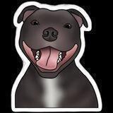 STAFFY INU(PORTAL)