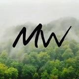 دنیاے مه آلود | Misty World