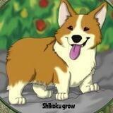 Shikoku grow portal