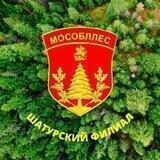 Шатурское лесничество