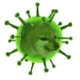 Dogepox Inu $DPOX 🦠🐕