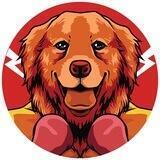 Portal - MRI -Marshall Inu