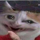 Meme with sakuwa