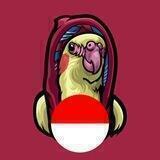 Bird Bro Indonesia 🇮🇩