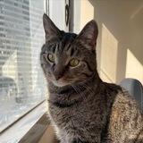 🐈 Серик из Мурино 🌇