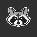 ⚜Raccoon Store⚜