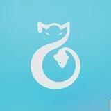 Cat & Fish Announcement