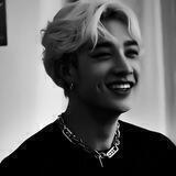 ☾♬.𝐛𝐞𝐚𝐫°𝐜𝐨𝐫𝐧𝐞𝐫.☕︎☽