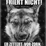 Bücher-Sicherungsverwahrung