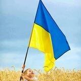 Допомога ЗСУ 🇺🇦 | Збори | Новини