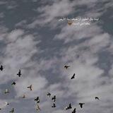 خِفَّة طَيْرٍ🕊. "