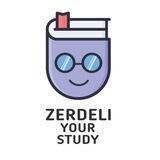 ZERDELIYOURSTUDY/ZYS