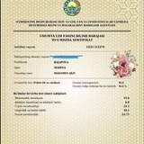 Milliy sertifikat - biz bilan!