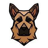 Raider Inu Portal