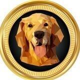 DOGODOGE ANNOUNCEMENT